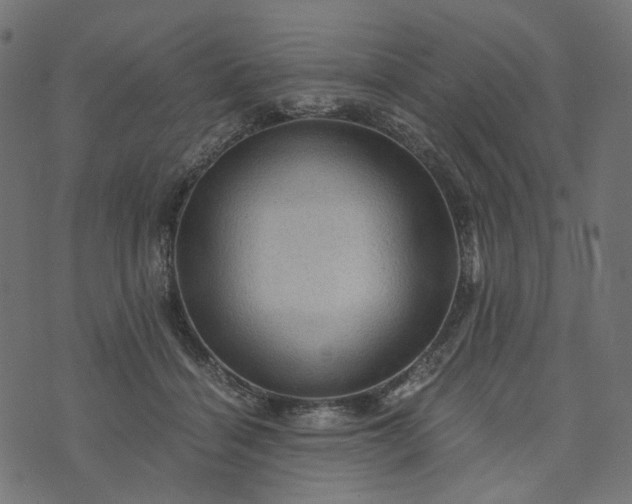 X0000073750460200608171335