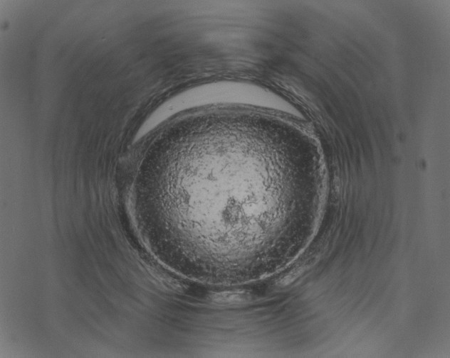 X0000073750461200608171335