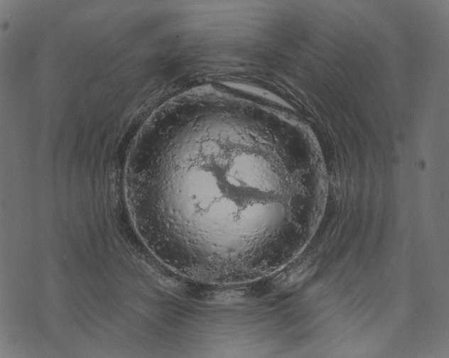 X0000073750462200608171335