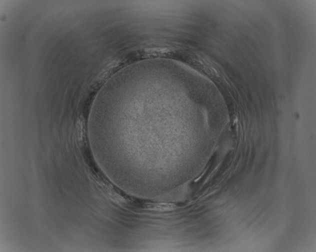 X0000073750463200608171335