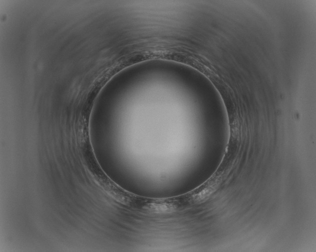 X0000073750464200608171335