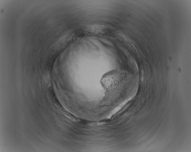 X0000073750465200608171336