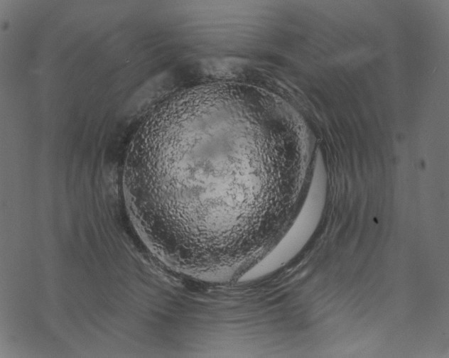 X0000073750466200608171336