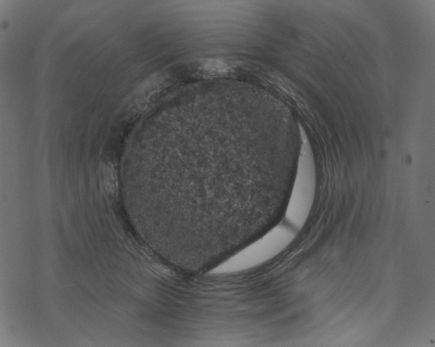 X0000073750467200608171336