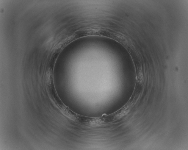 X0000073750468200608171336