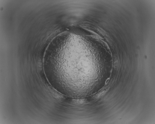 X0000073750469200608171336