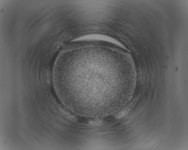 X0000073750470200608171336