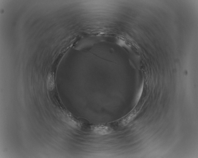 X0000073750471200608171336