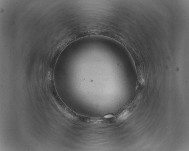 X0000073750472200608171336