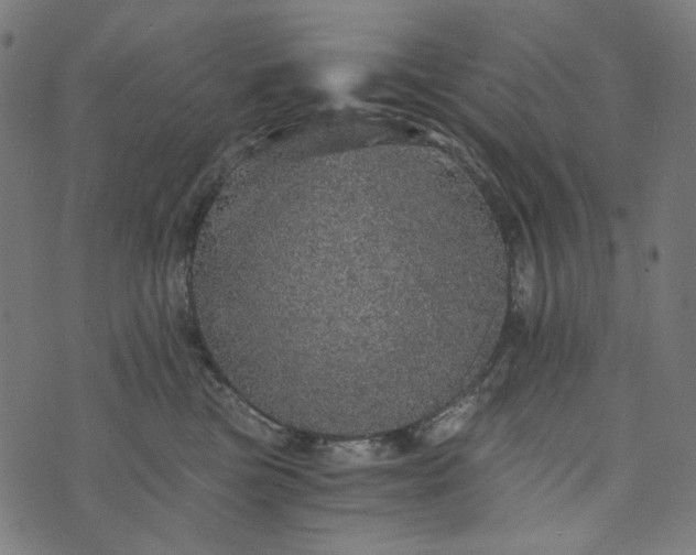 X0000073750473200608171336