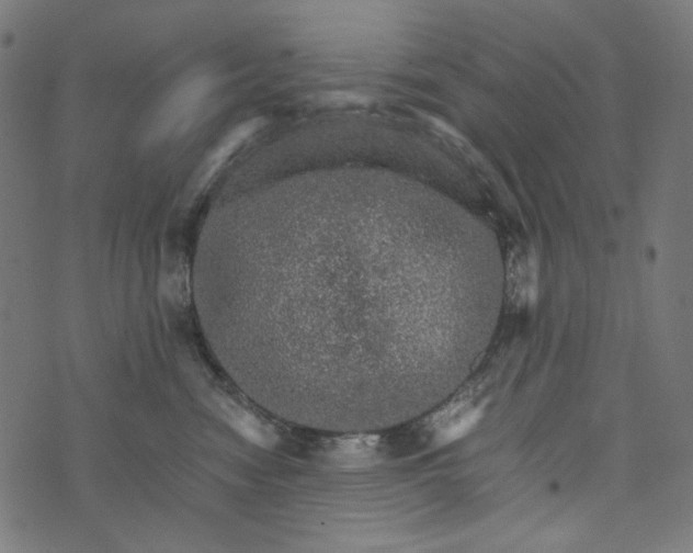 X0000073750474200608171336