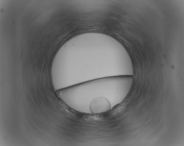 X0000073750475200608171336