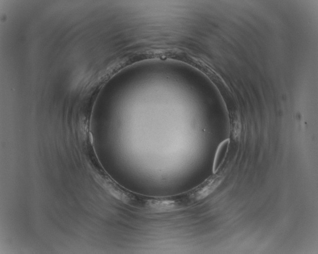 X0000073750476200608171336