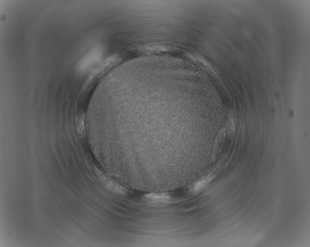 X0000073750477200608171336