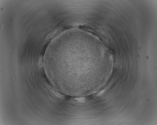 X0000073750478200608171336