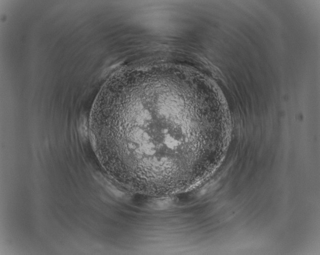 X0000073750479200608171336