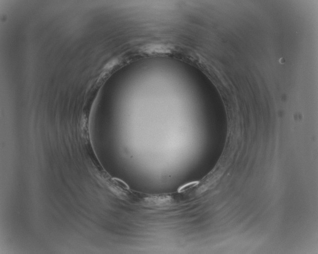 X0000073750480200608171336