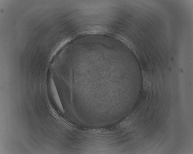 X0000073750482200608171335