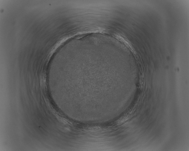 X0000073750483200608171335