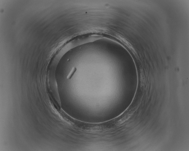 X0000073750485200608171335