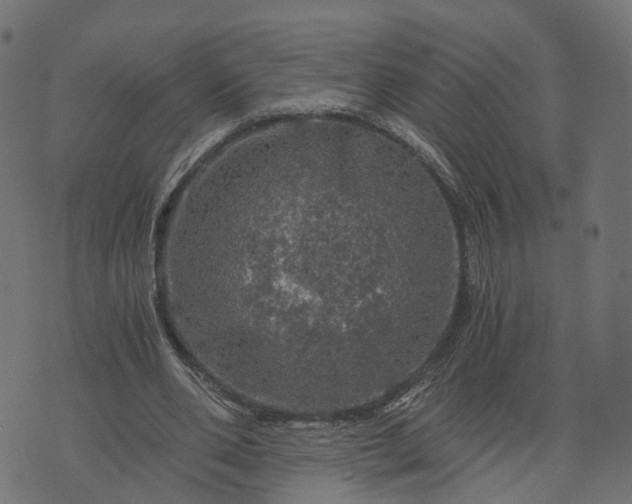 X0000073750486200608171335