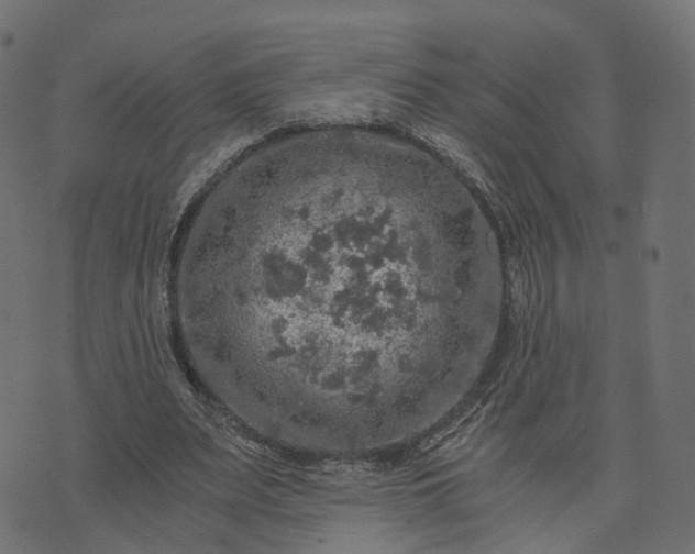 X0000073750487200608171335