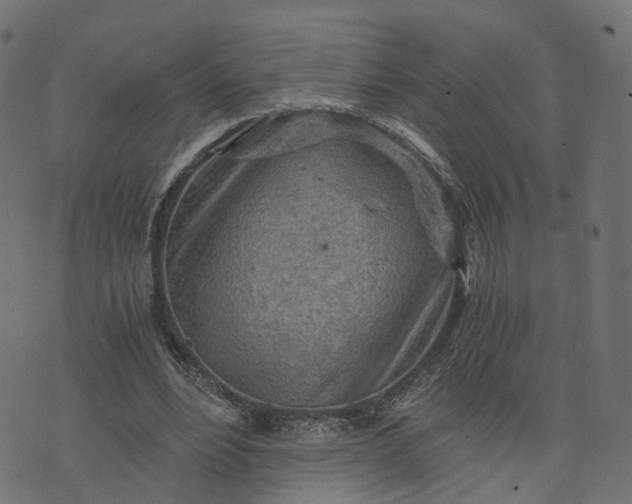 X0000073750488200608171335