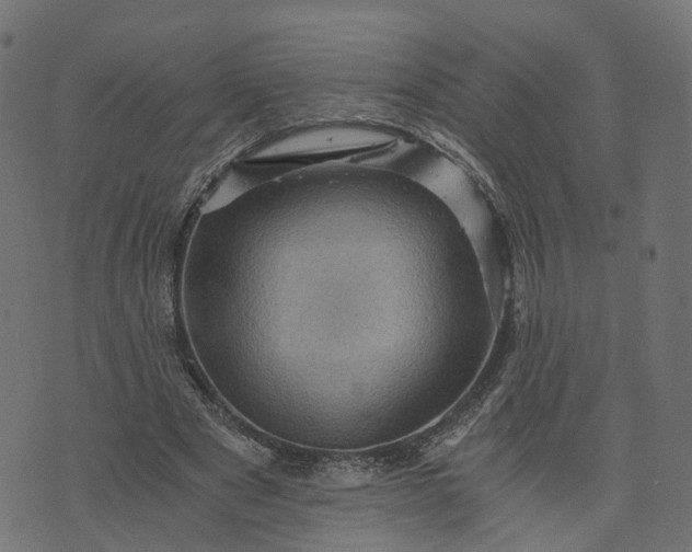 X0000073750489200608171335