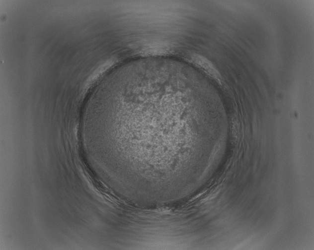 X0000073750491200608171335