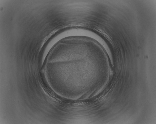 X0000073750492200608171335