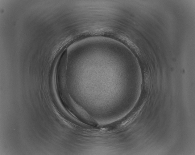 X0000073750493200608171335