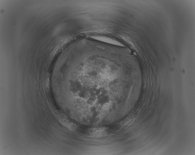 X0000073750495200608171335