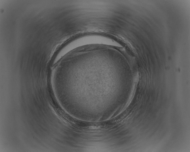 X0000073750496200608171335