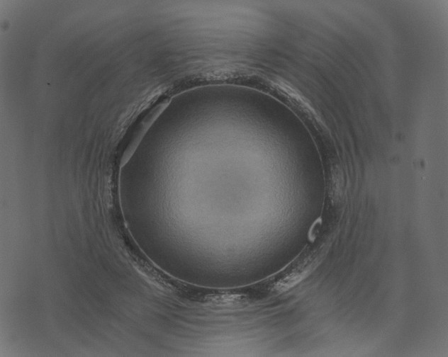 X0000073750497200608171335