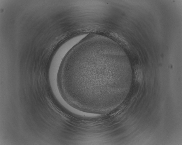 X0000073750498200608171335