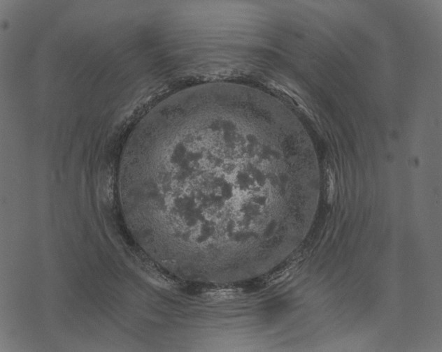 X0000073750499200608171335