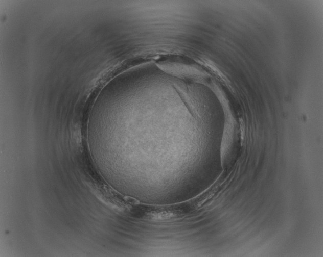 X0000073750500200608171335