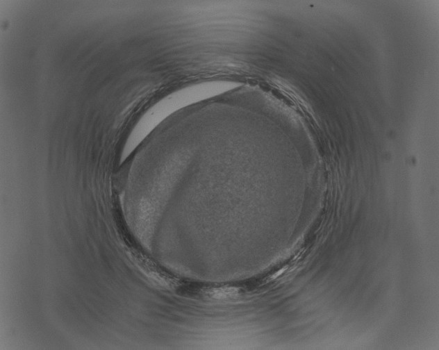 X0000073750501200608171335