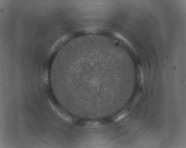 X0000073750502200608171335