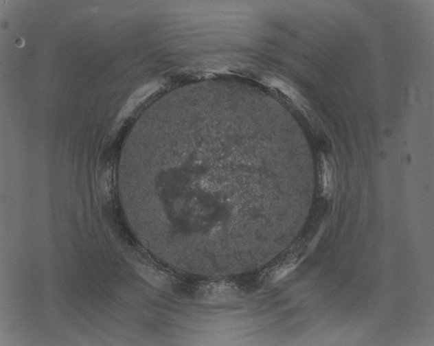 X0000073750503200608171335