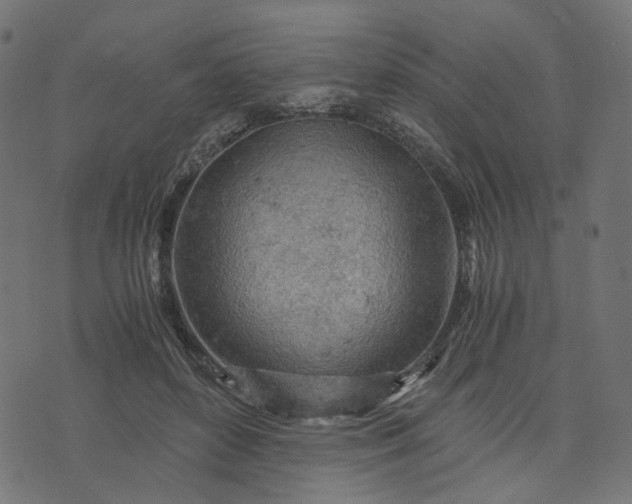 X0000073750504200608171335