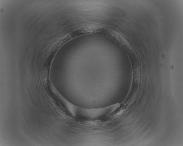 X0000073750505200608171335