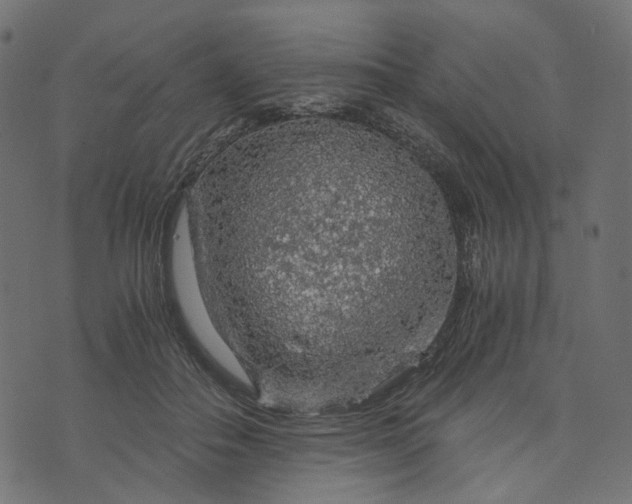 X0000073750506200608171335