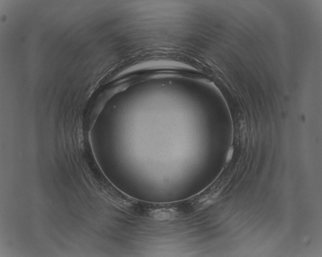 X0000073750508200608171335