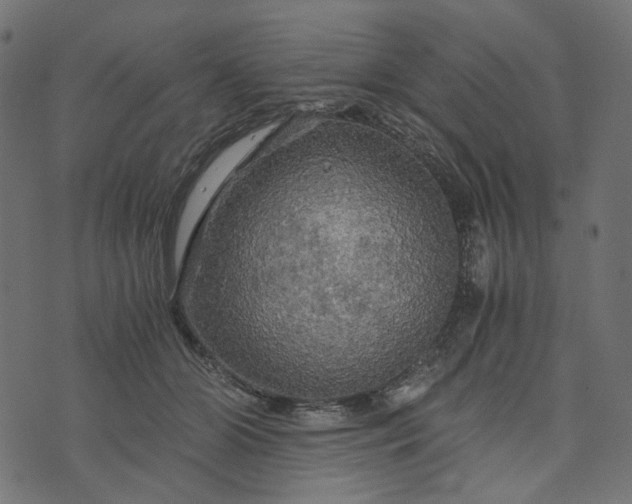 X0000073750510200608171334