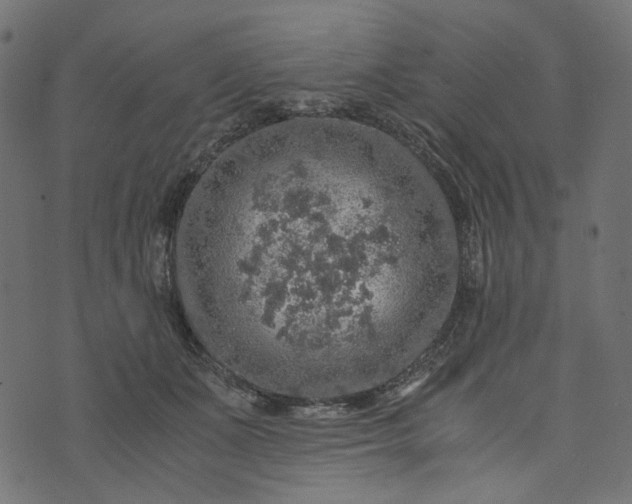 X0000073750511200608171334