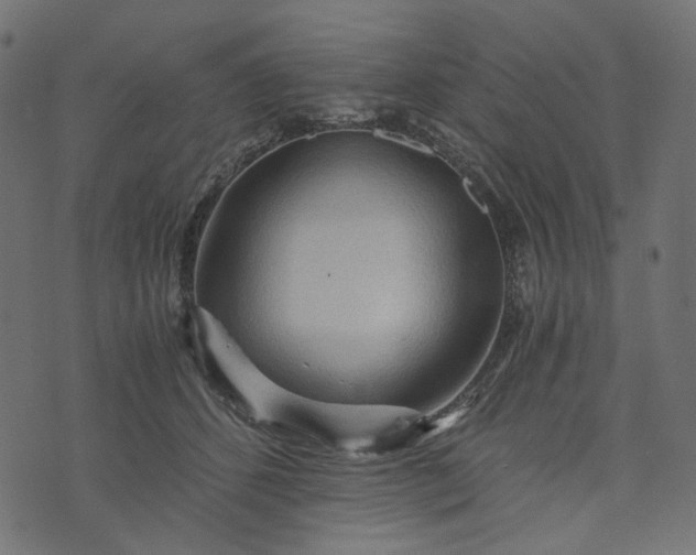 X0000073750512200608171334