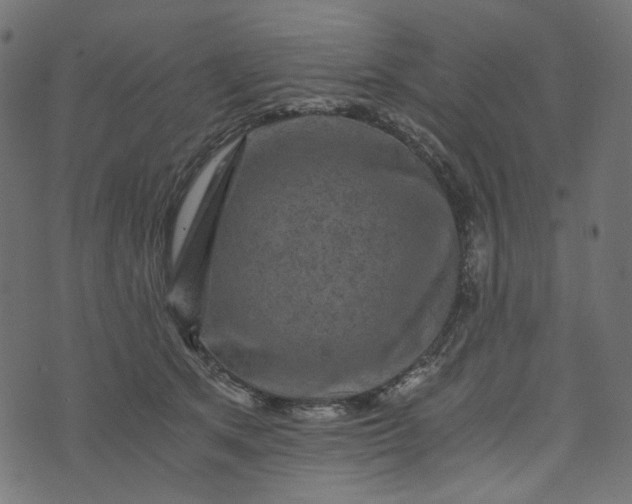 X0000073750513200608171334