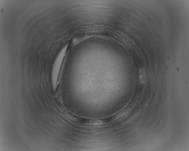 X0000073750514200608171334