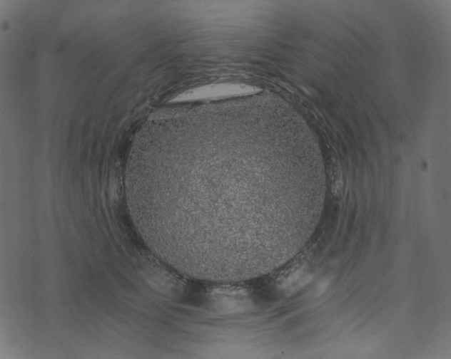 X0000073750515200608171334